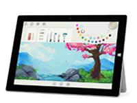 鄂温克Surface 无法开启、Windows 无法启动或电池无法充电