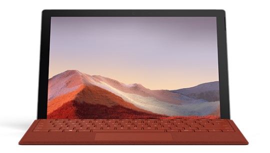 鄂温克清洁和维护 Surface